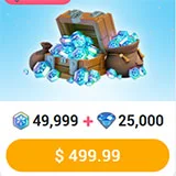 49999 프로스트 스타